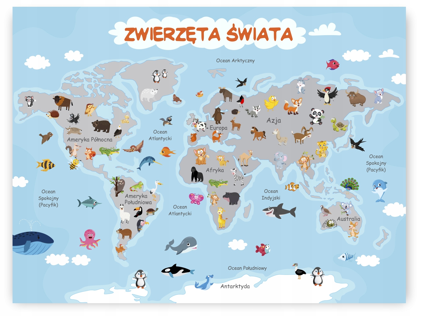 

Zwierzęta Świata dla dzieci Obrazek 21x30 plakat