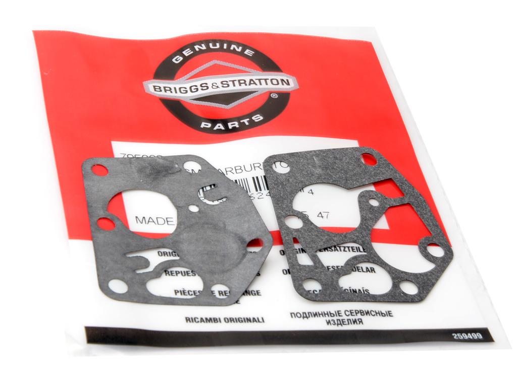 MEMBRANA ZESTAW NAPRAWCZY GAŹNIKA BRIGGS STRATTON EAN (GTIN) 024847624984