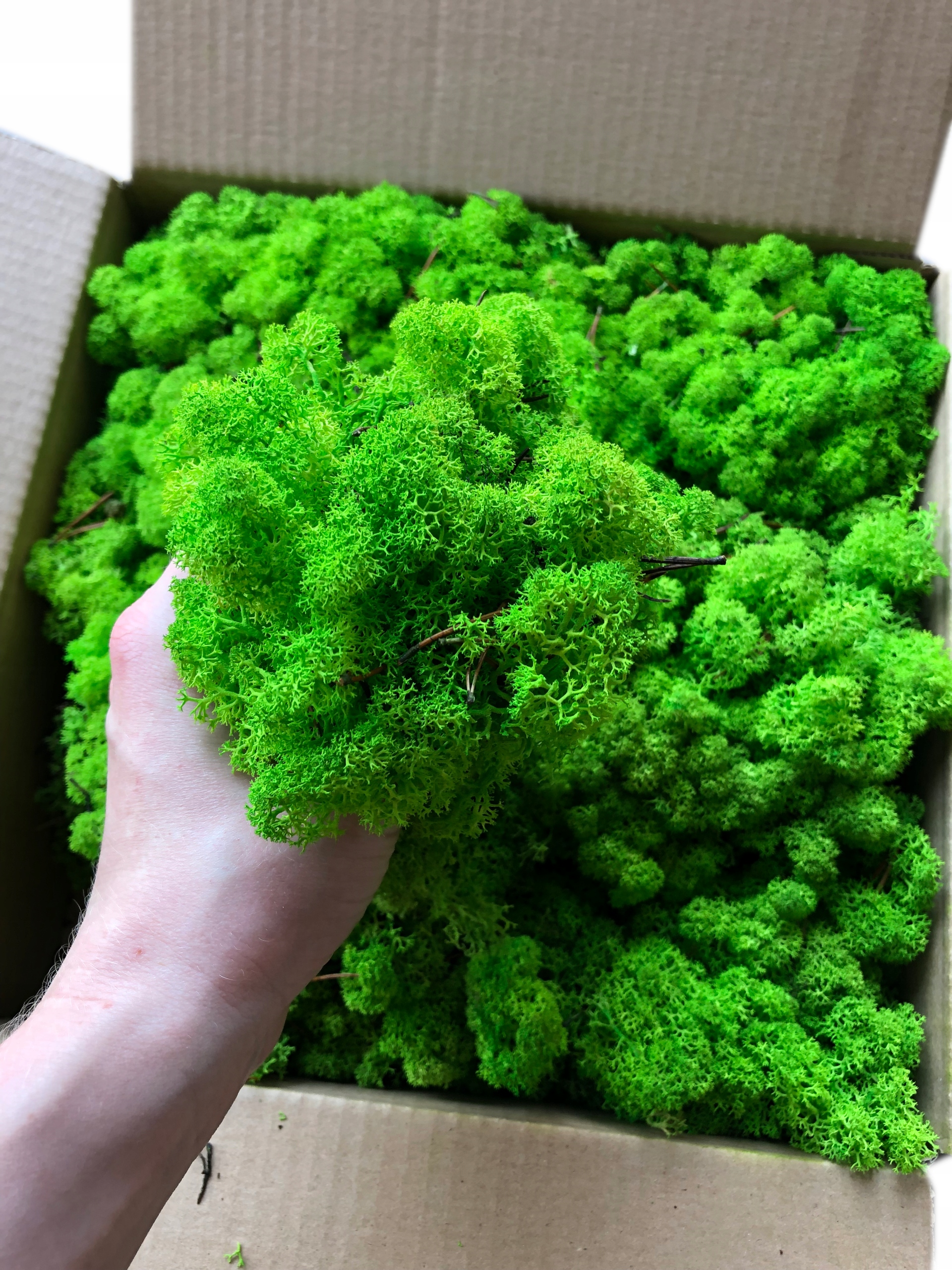 500g MECH CHROBOTEK reniferowy NORWESKI puszysty