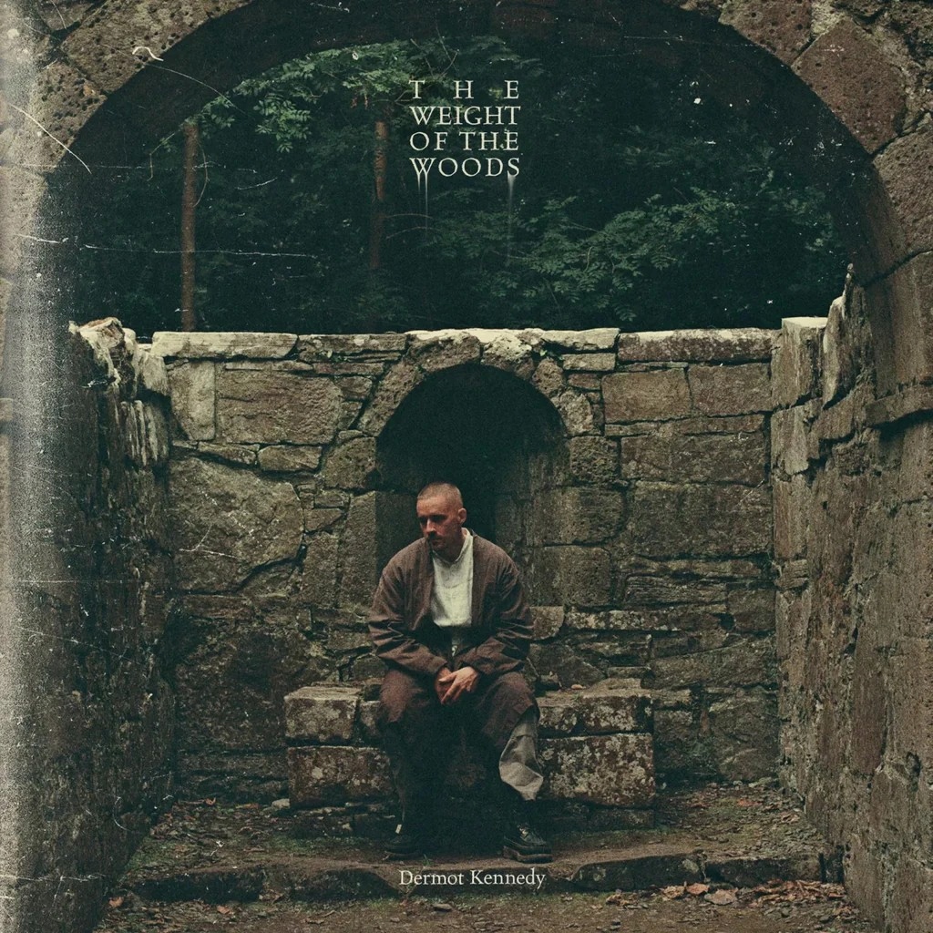 Kennedy Dermot The Weight Of The Woods: Standard (CD)