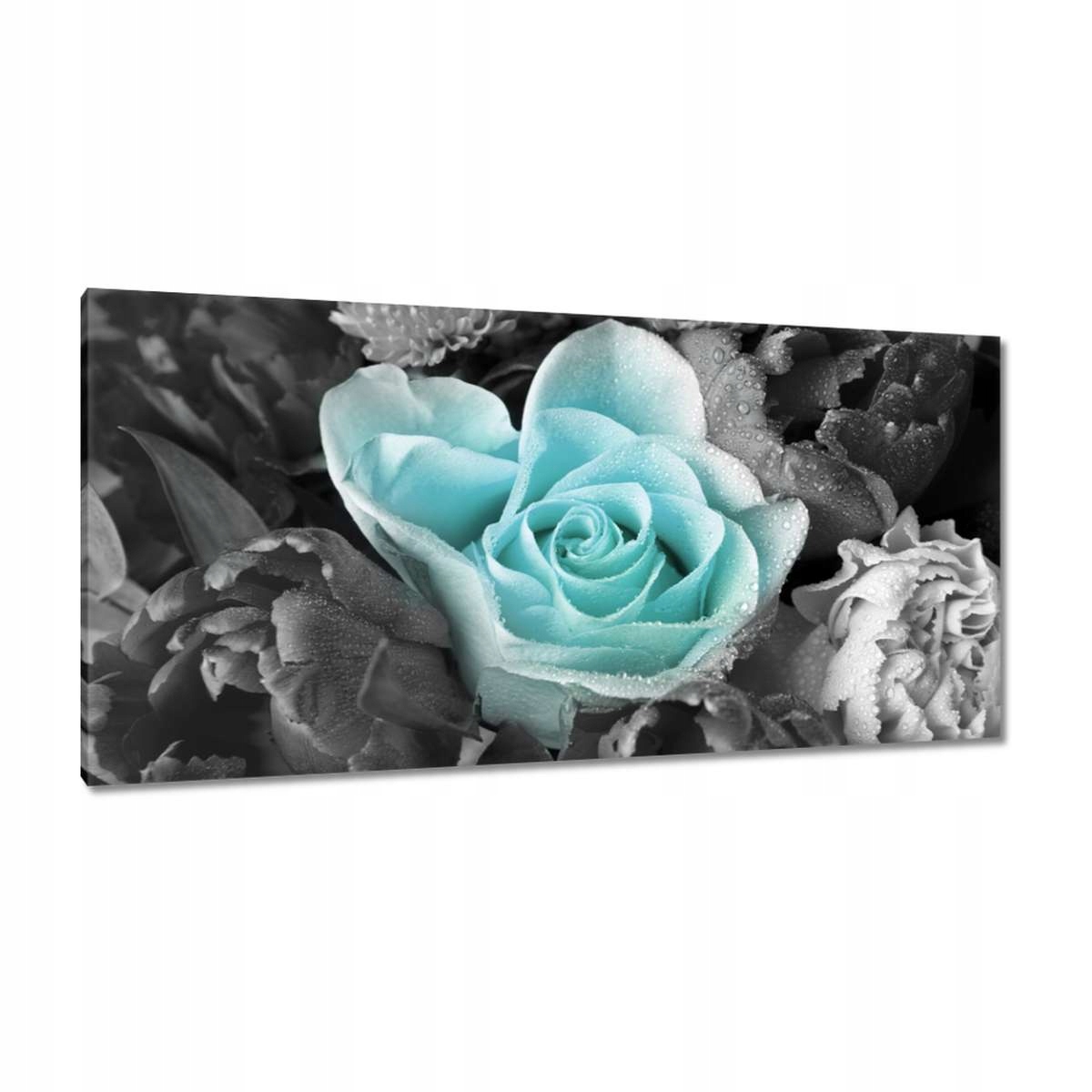 Obrazy 115x55 Tyrkysová růže