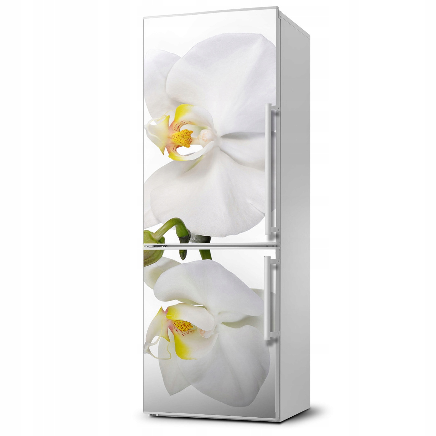 

Naklejka Magnes na lodówkę Biała orchidea 60x180