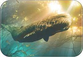 AMBROXAN 5g Molecule 02 Proszek Marka inna marka