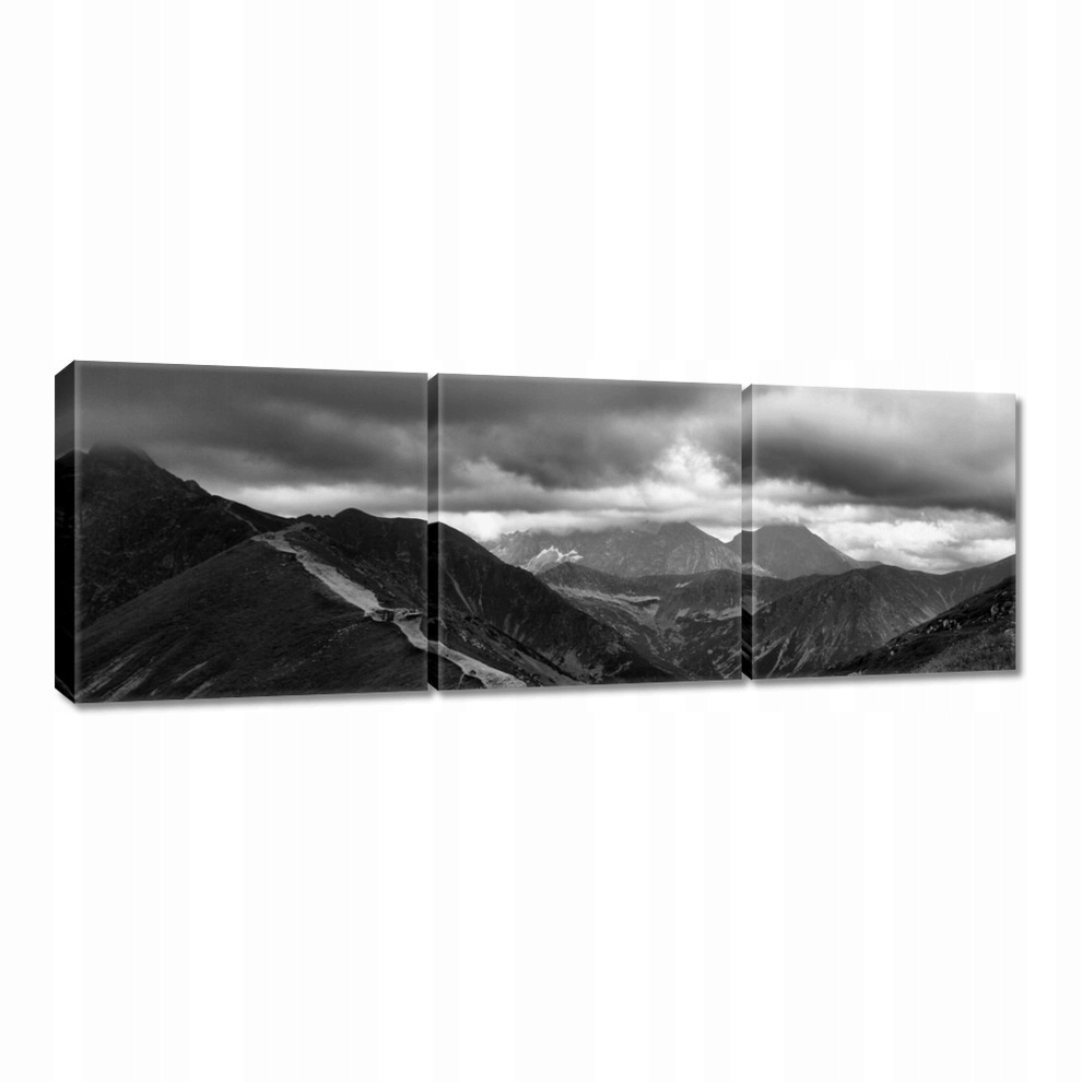 

Obrazy 60x20 Tatry Polskie góry Widok