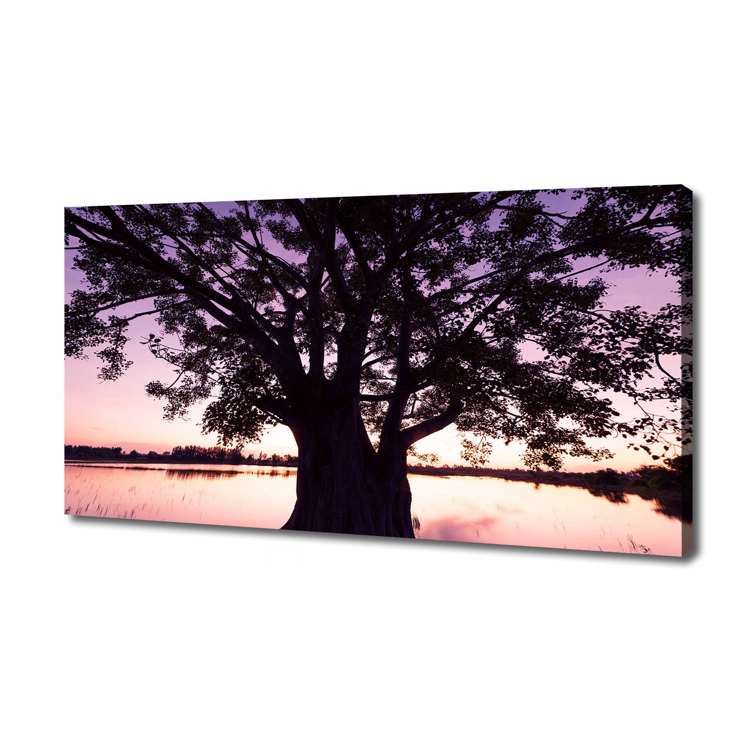 

Foto obraz na płótnie Drzewo i jezioro 140x70 cm