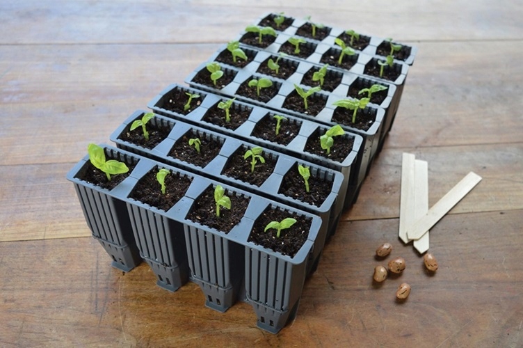 Miniszklarenka Do Roślin 28 Komórek - Garland Stan opakowania oryginalne