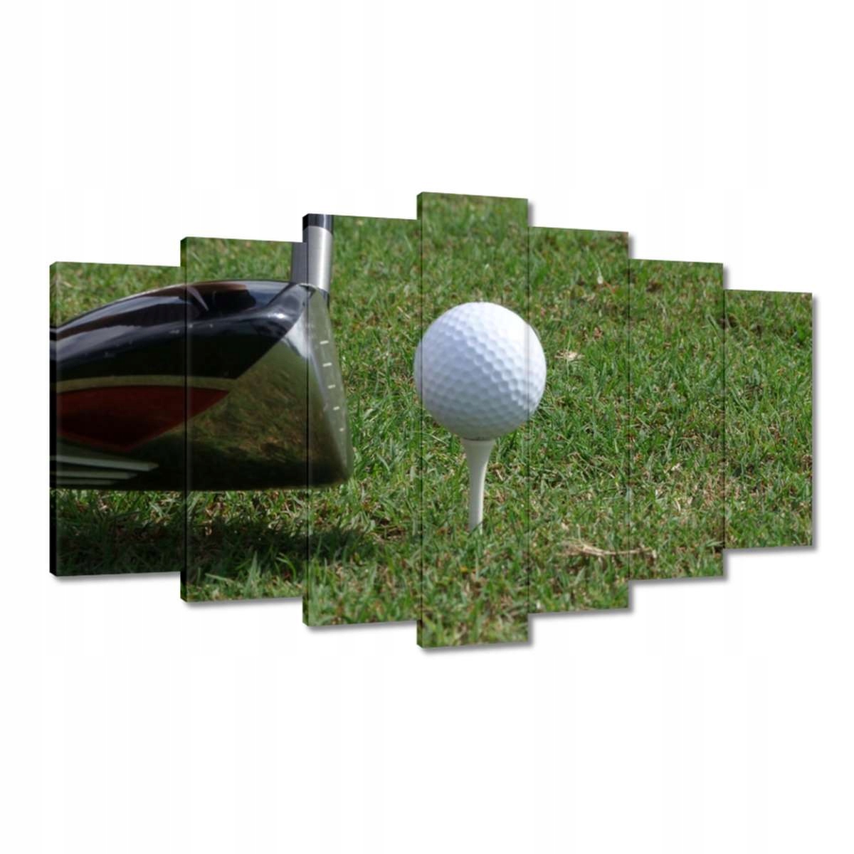 Obrazy 140x80 Golf