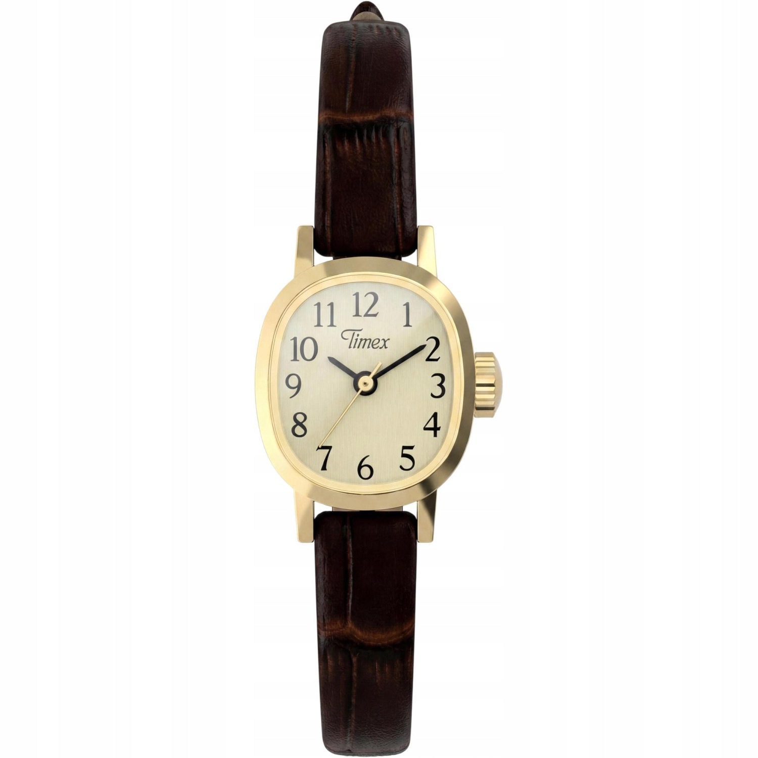 Dámské hodinky Timex TW2Y87700 hnědé