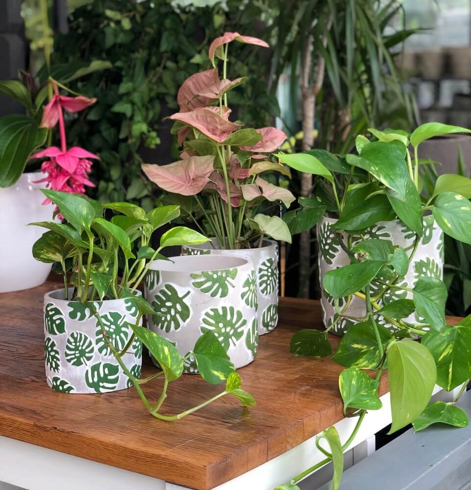 OSŁONKA DONICZKA 20 CM SZARA z ZIELONA MONSTERA Kod producenta monstera