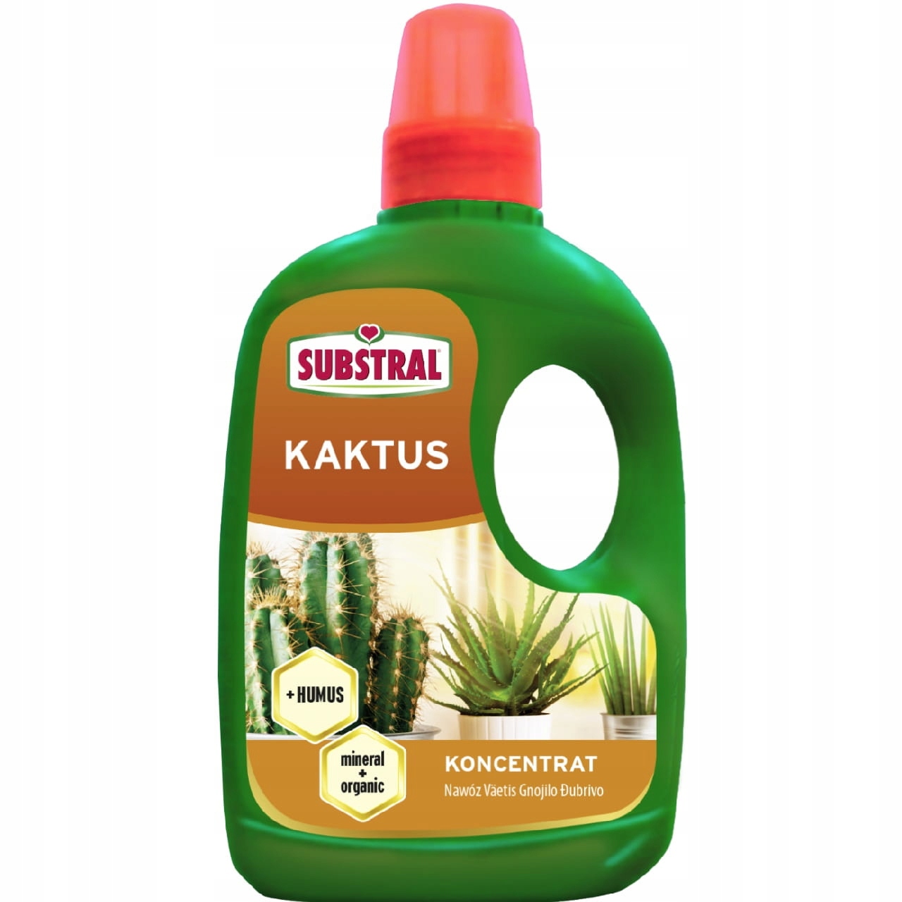 

Substral Nawóz + Humus Kaktus 0.25l