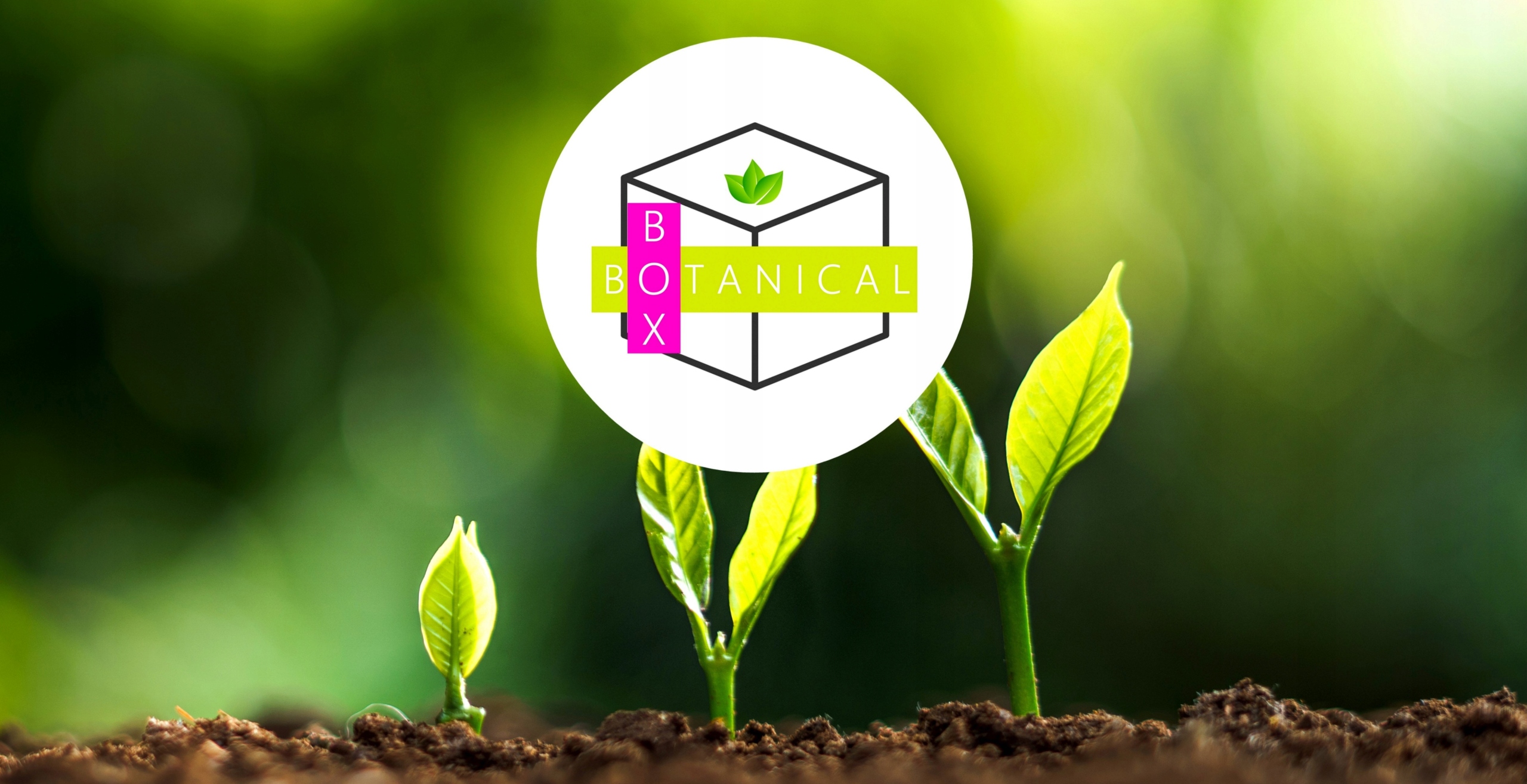 KERAMZYT OGRODNICZY 8-16 MM DRENAŻ NA DNO DONICY - DODATEK DO PODŁOŻA - 1 L Marka inna