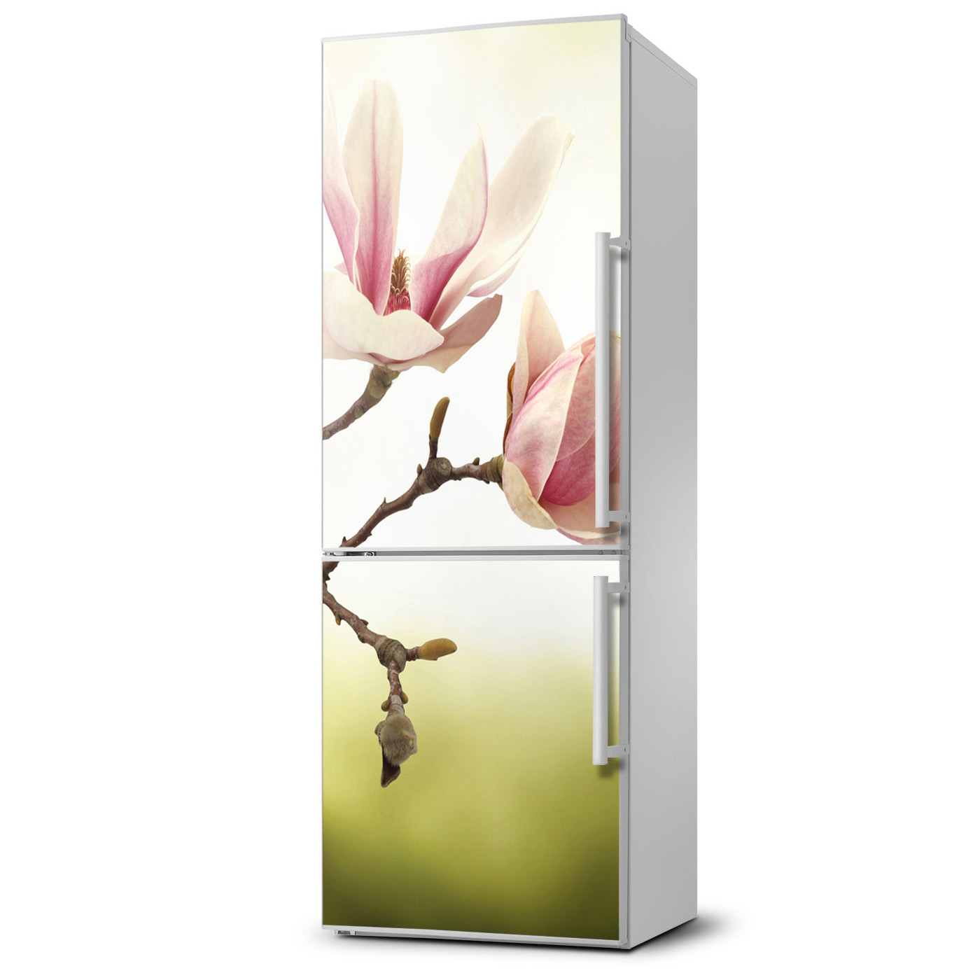 

Naklejka Magnes Magnes Kwiaty magnolii 60x180