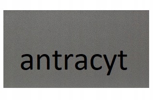 meble półka wisząca mała nad biurko łóżko komodę szara dla dzieci Gumi 05 Głębokość mebla 18 cm