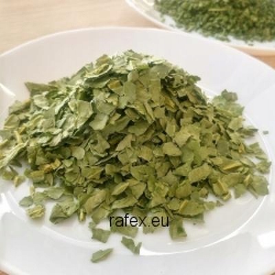 Levně Česnek medvědí lyofilizovaný 1 kg Rafex