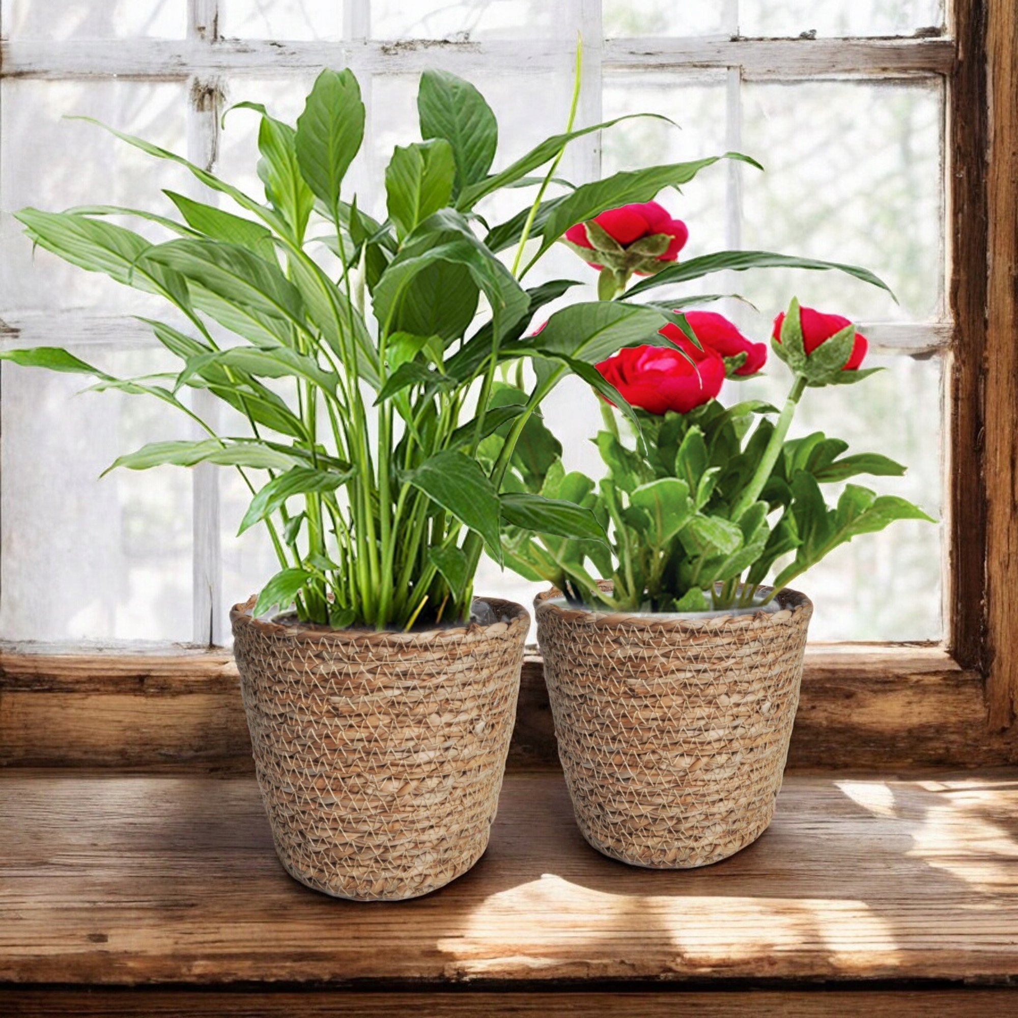 OSŁONKA DONICZKA PLECIONA Z TRAWY MORSKIEJ Z FOLIĄ BOHO SKANDI 20x15 Materiał wykonania inny