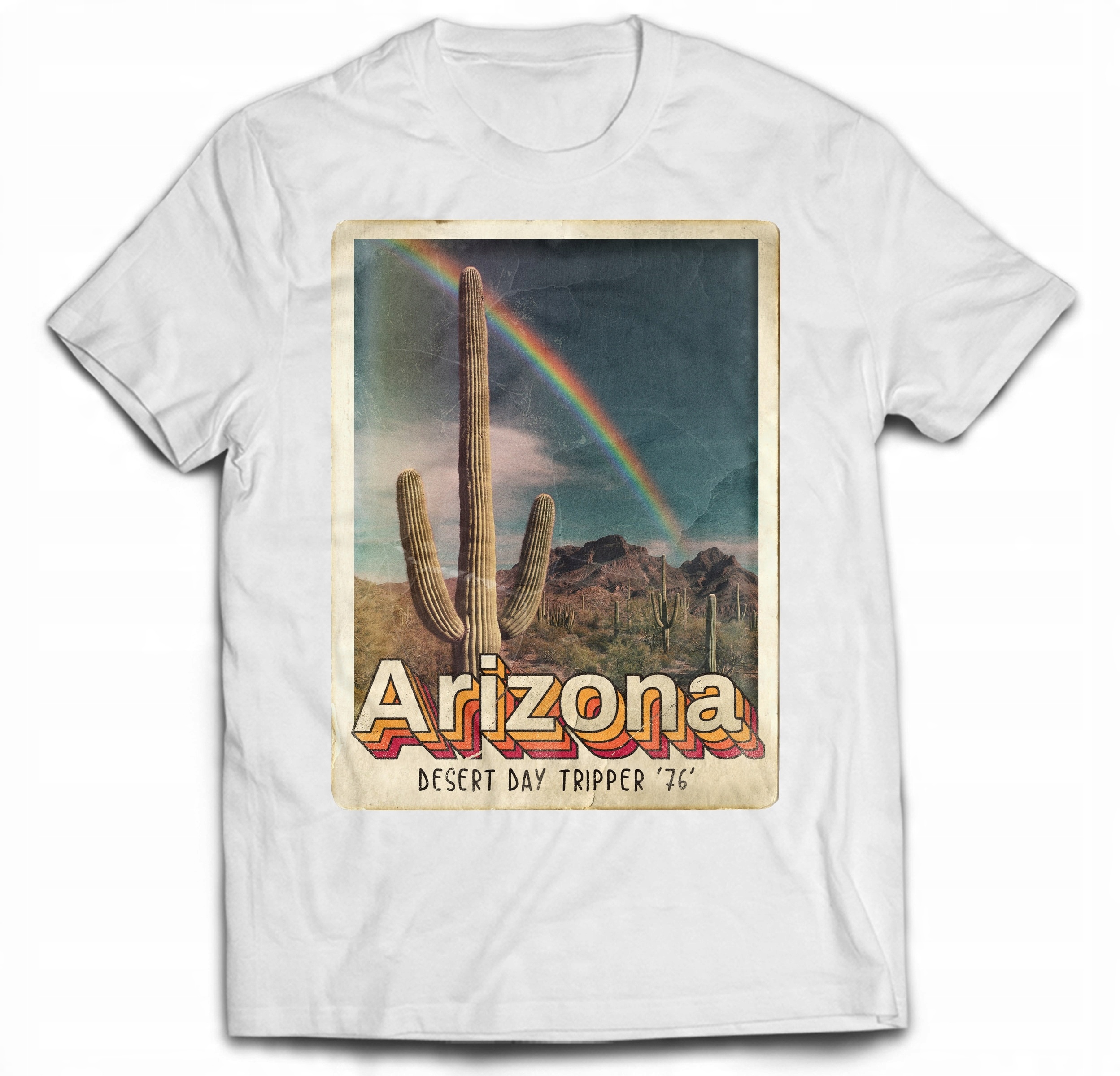 

Kaktus Arizona Stany Preria Kaktusy Pustynia L