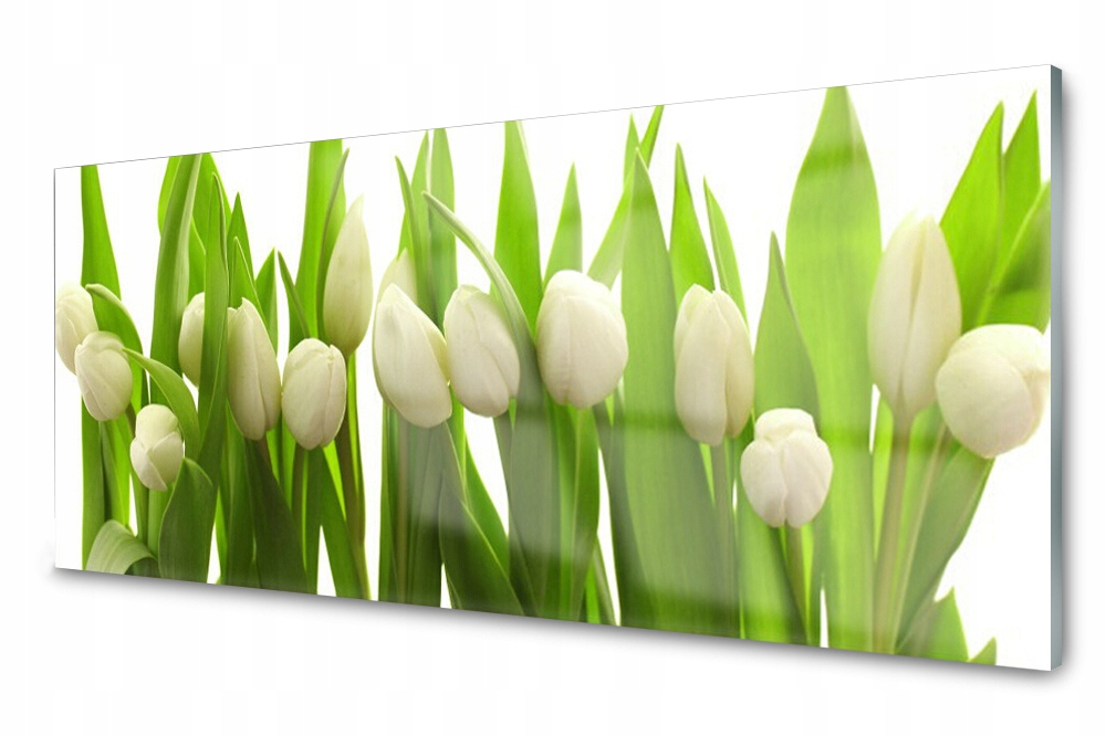 Sklenený panel do kuchyne Tulipány Kvety 125x50