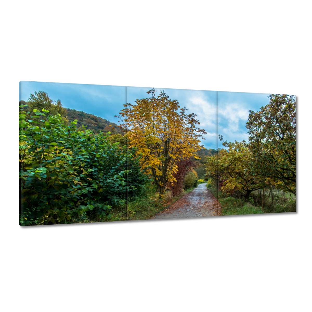 Obrazy 180x90 Stromy na jeseň