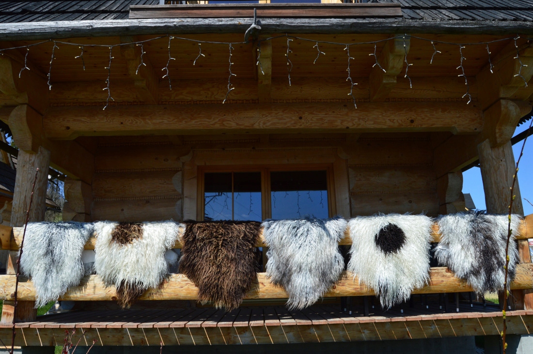 Skóra Owcza Island Kręcony Włos Różne Kolory Marka inna