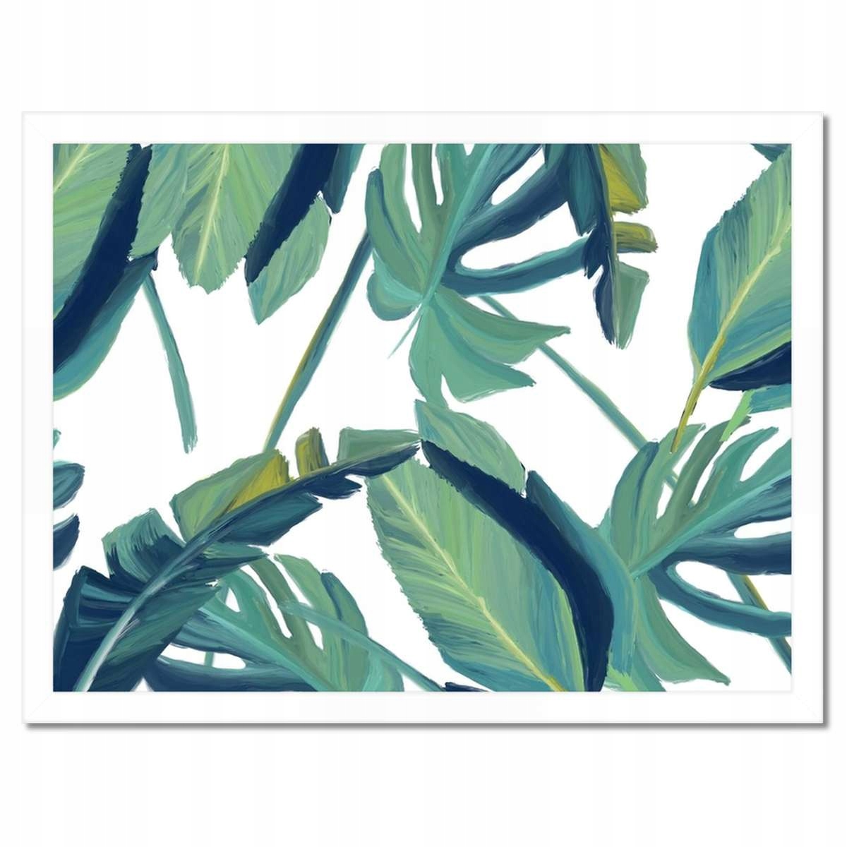 Plakáty v rámu 40x30 Monstera Listy listí