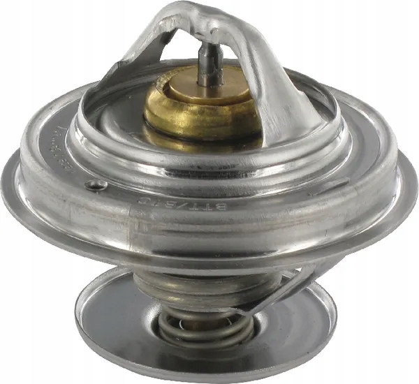 Termostat, Case-Steyr