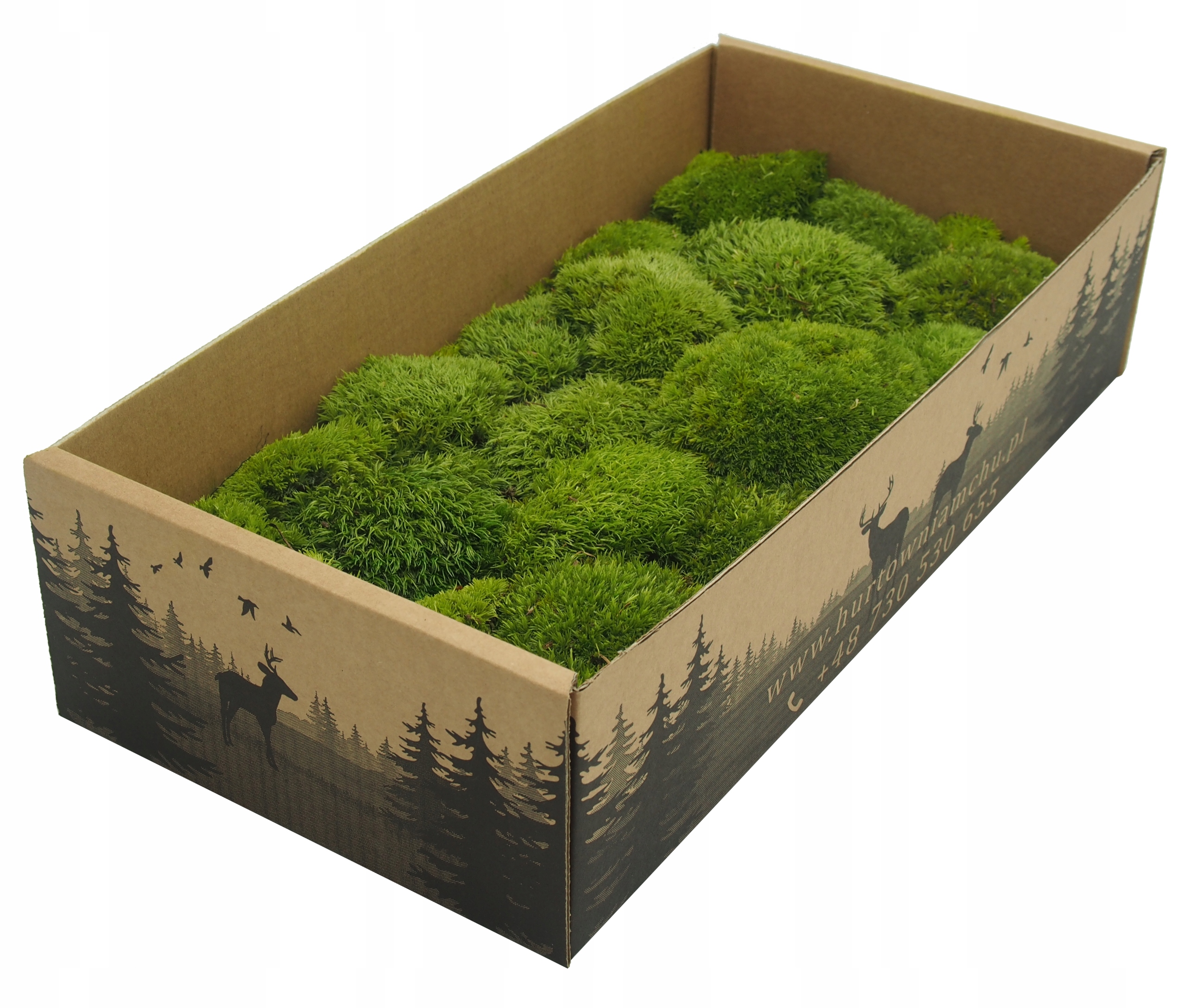 Mech Poduszkowy Jasna ZIeleń karton 200g NETTO Kod producenta POD-FRA-JAS-200-N