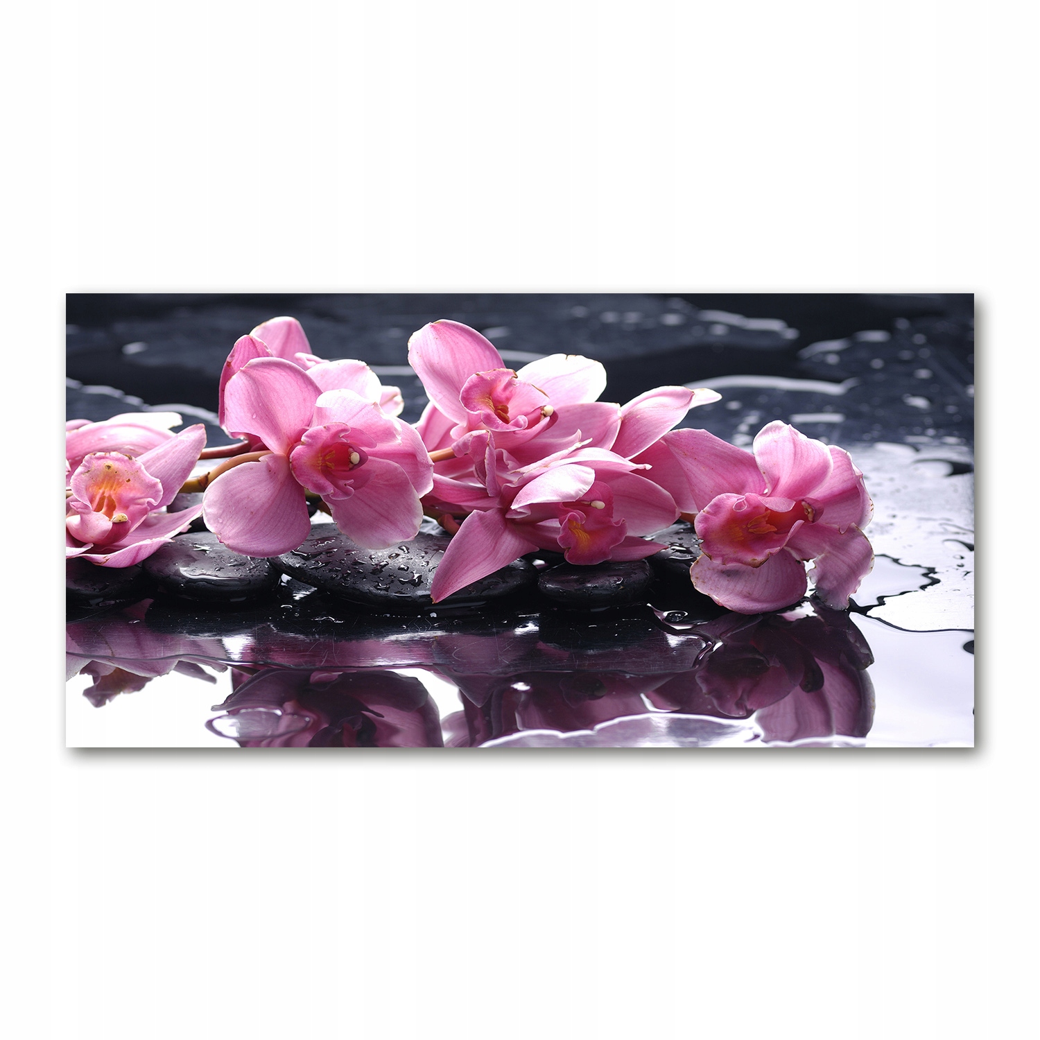 

Foto-obraz akryl Różowa orchidea zdjęcie 140x70 cm