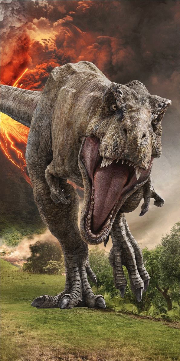 

Ręcznik 70x140 T-rex Dinozaury Jurassic 01