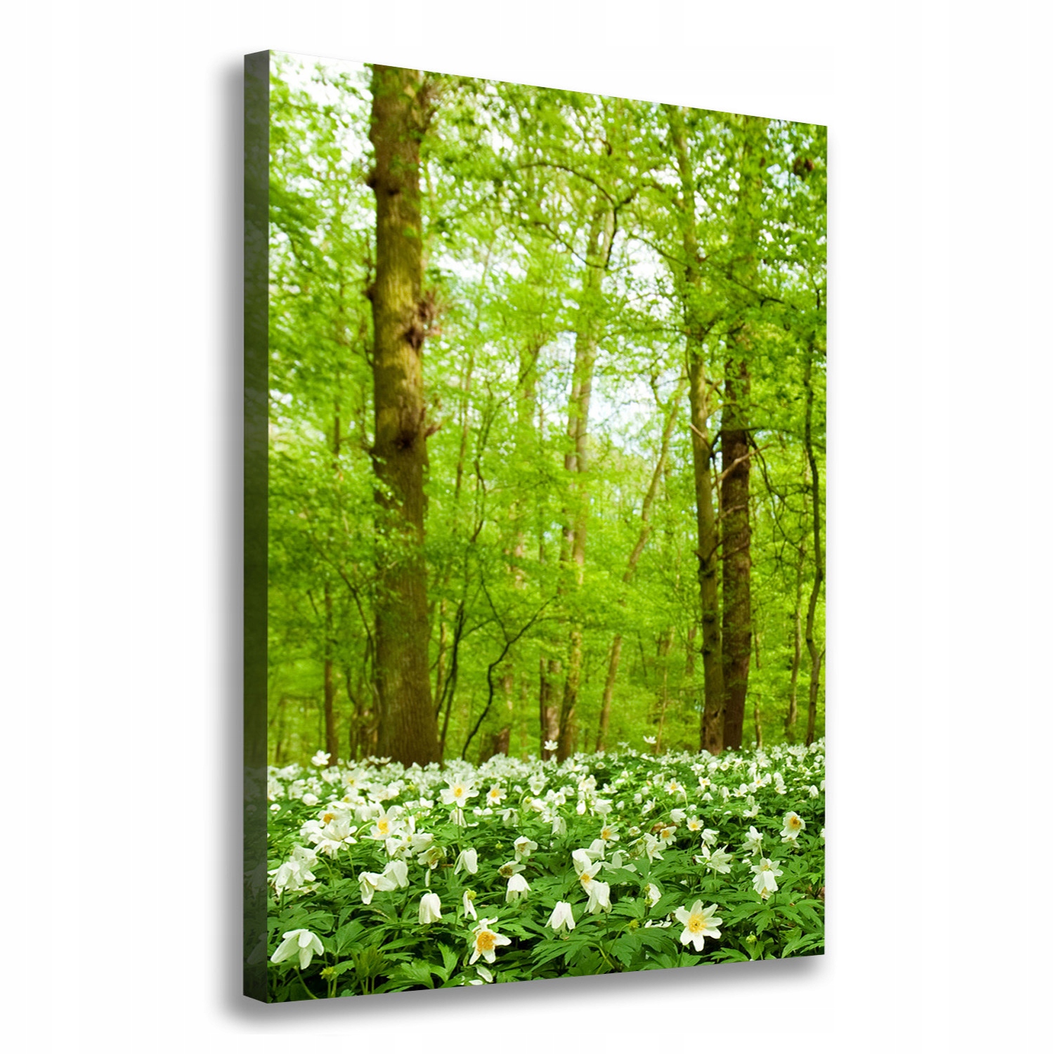 

Foto obraz na płótnie Kwiaty w lesie 70x100 cm
