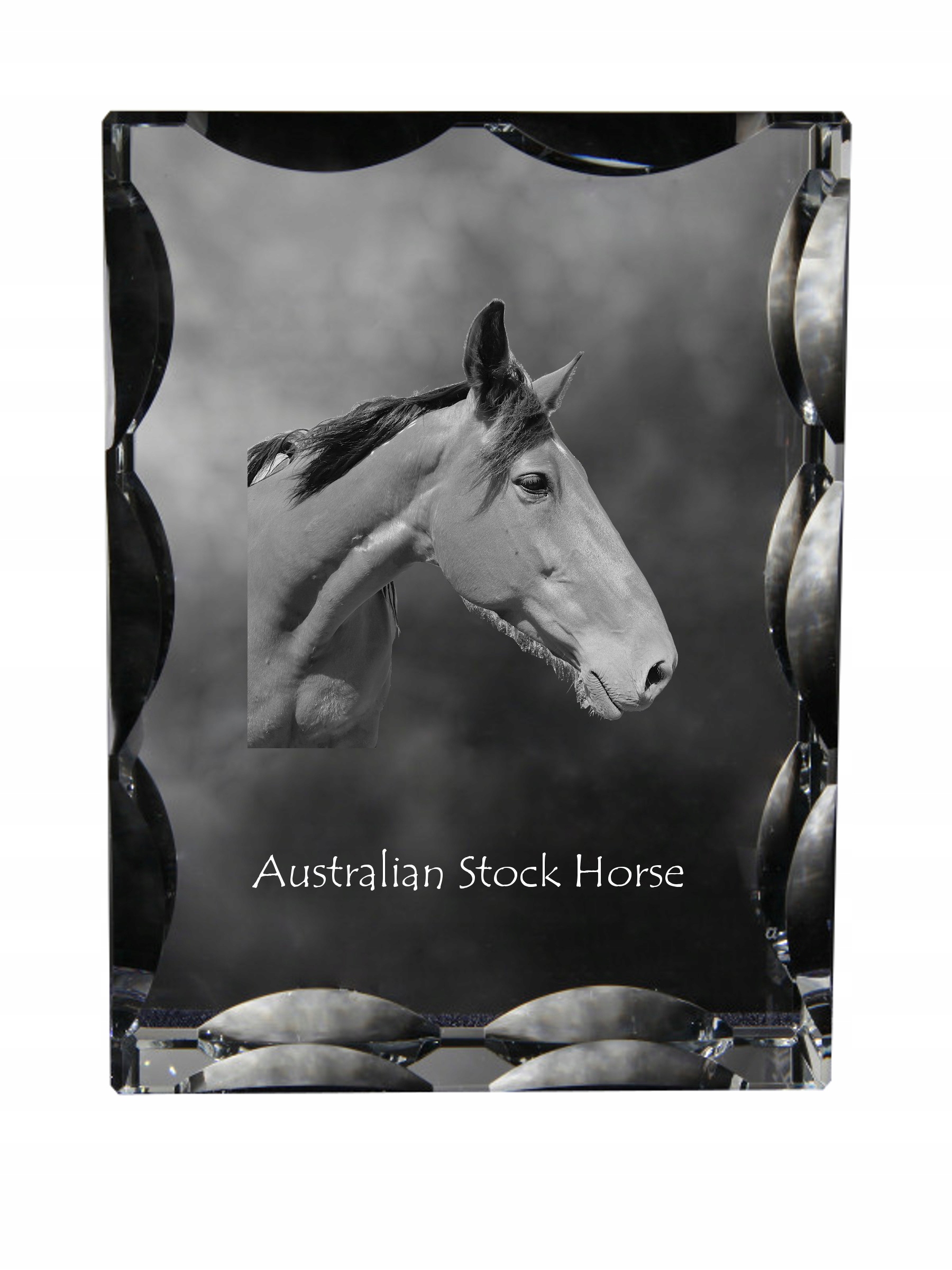 Kôň Australian Stock Horse fotografia v ozdobnom kryštáli, pamiatka dekorácia
