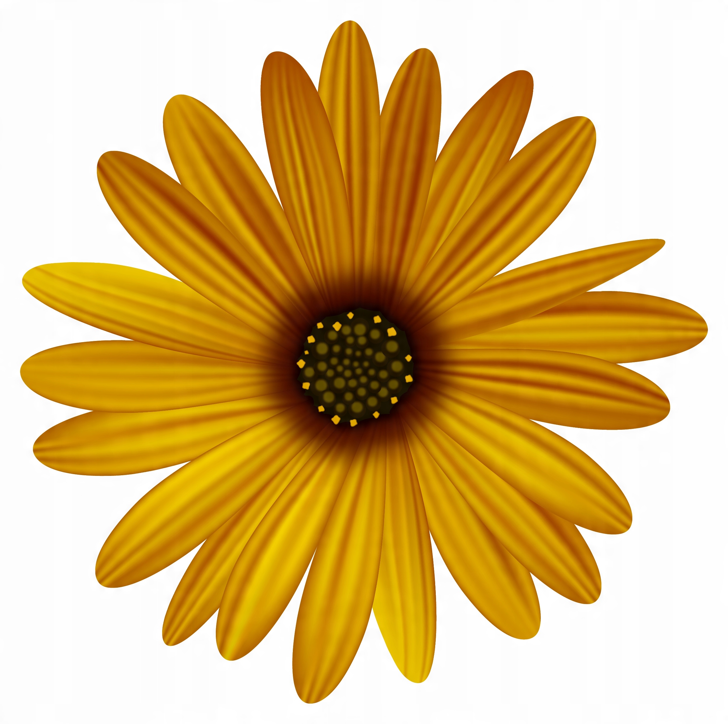 

Naklejka Na Okno Lustro Szybę Kwiatek Gerbera