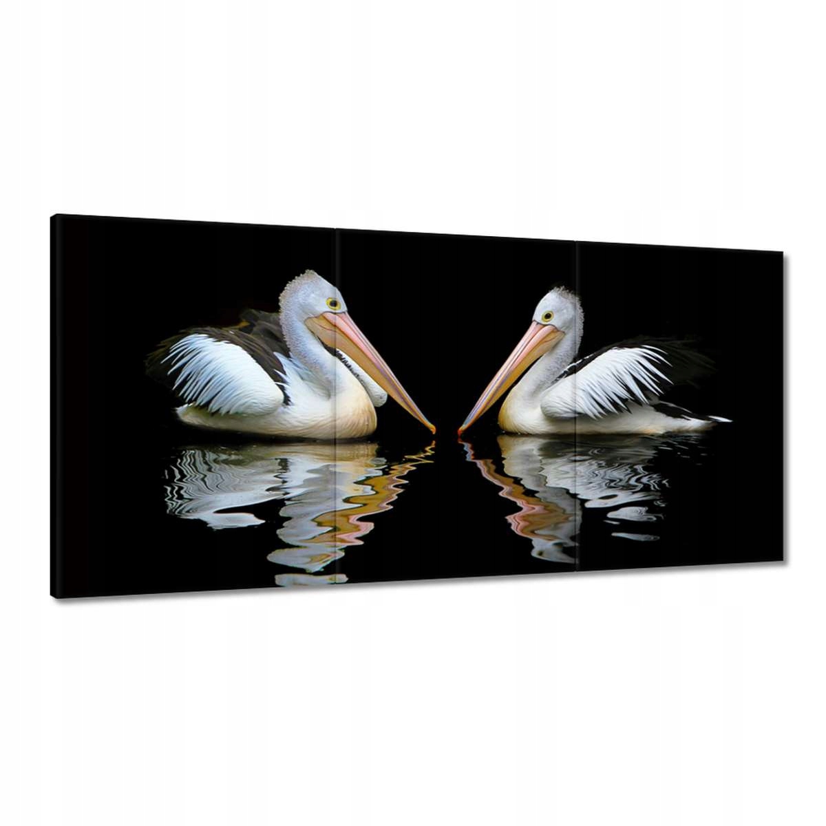 Obrazy 180x90 Kormoráni