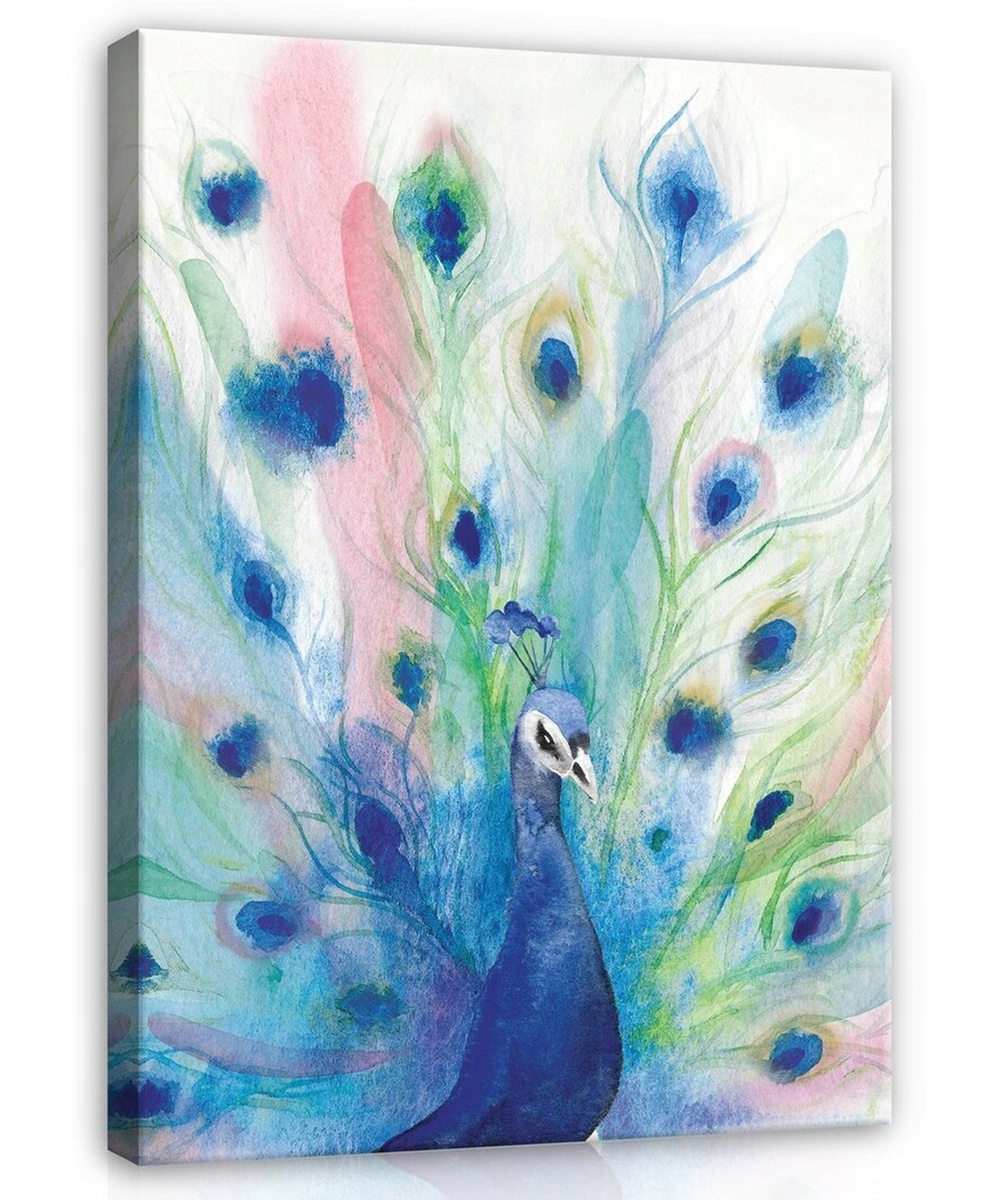 Obraz Na Plátně Canvas 80x120 Páv Pták Akvarel