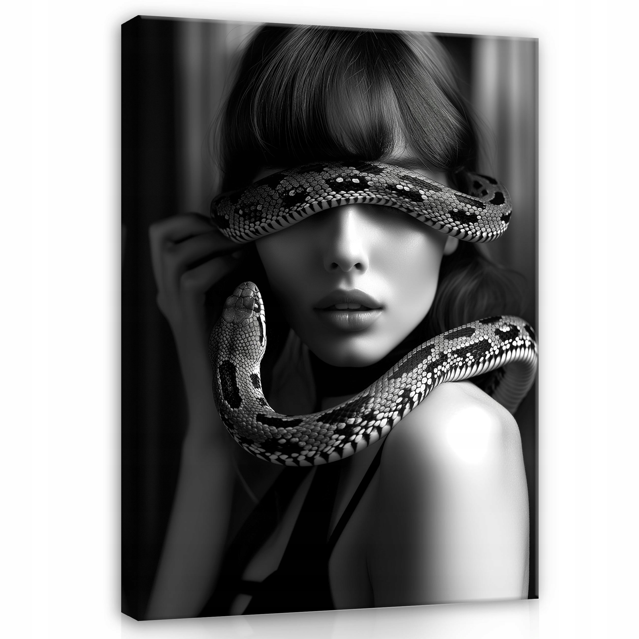Černobílý Obraz Žena Had Moderní Do Předsíně Kanceláře Velký 120x80