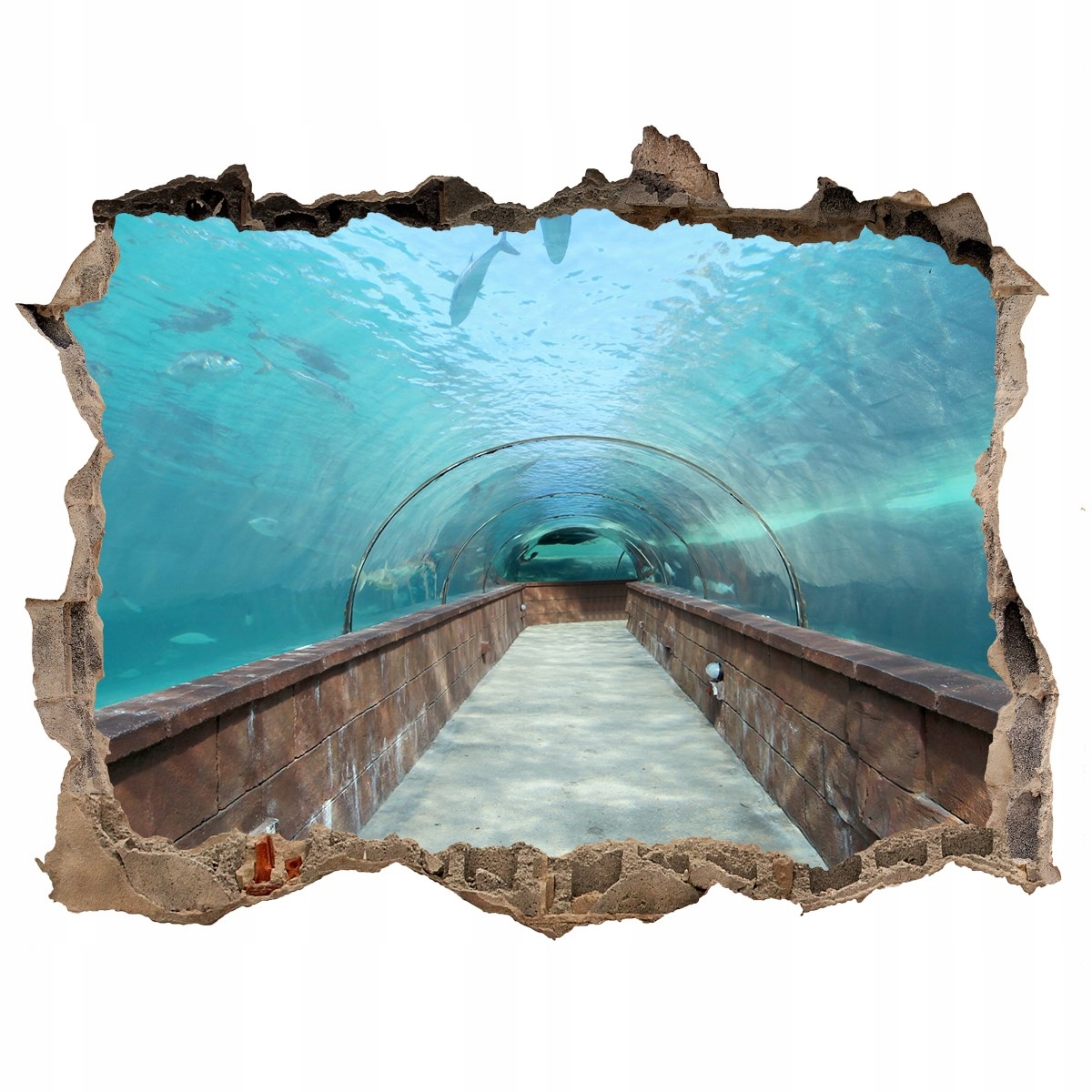 

Fototapeta dziura na ścianę 3d Tunel akwarium
