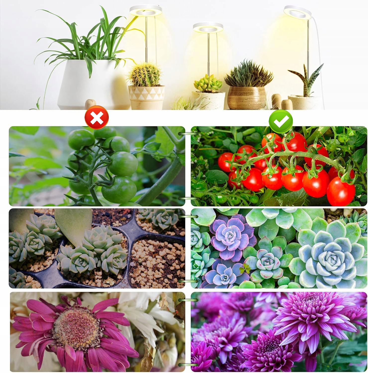 LAMPA DO WZROSTU ROŚLIN 72LED TIMER USB BIAŁA NOWY Typ oświetlenia GROW