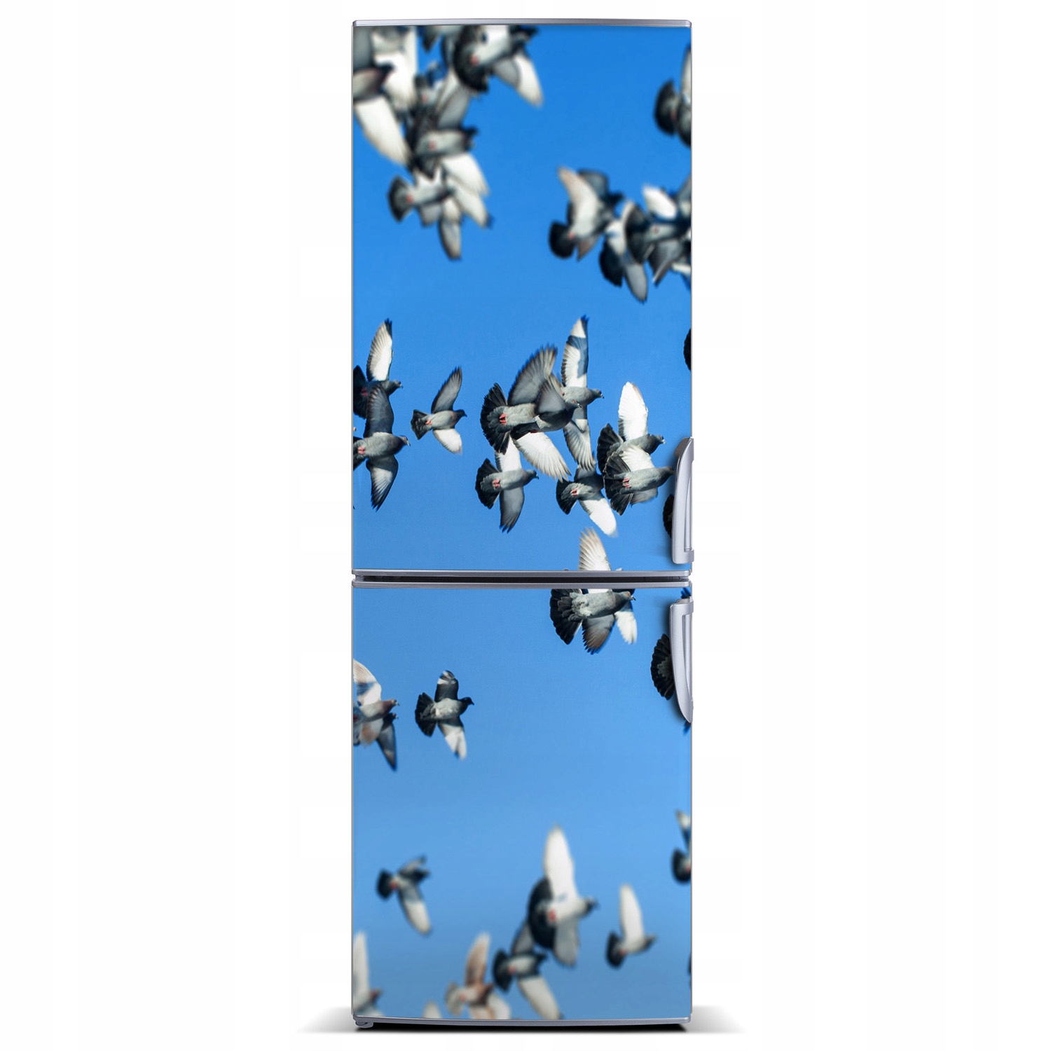 

Magnes na lodówkę Gołębie na niebie 60x180