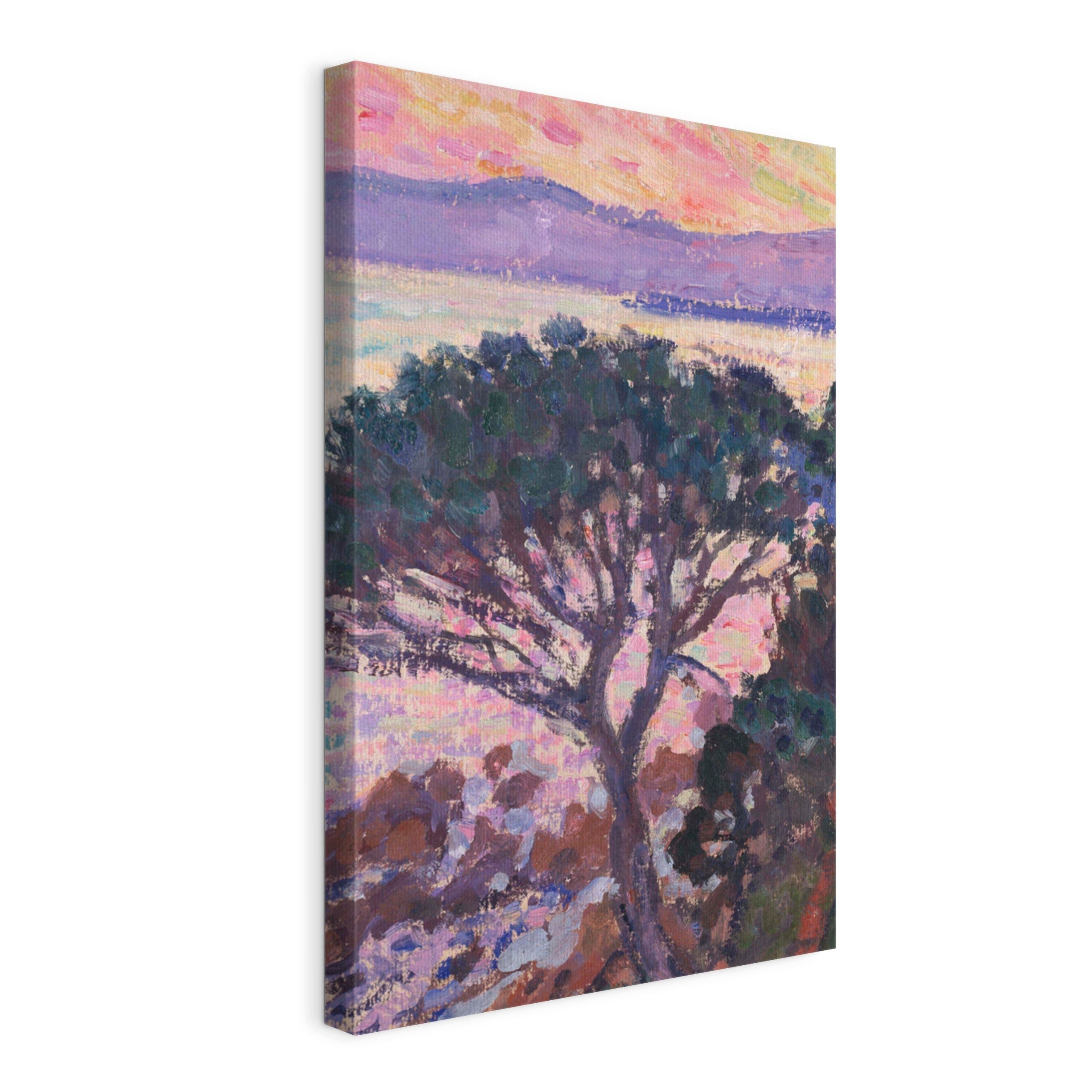 Obraz na plátně van Rysselberghe Borovice u moře 60x90 cm