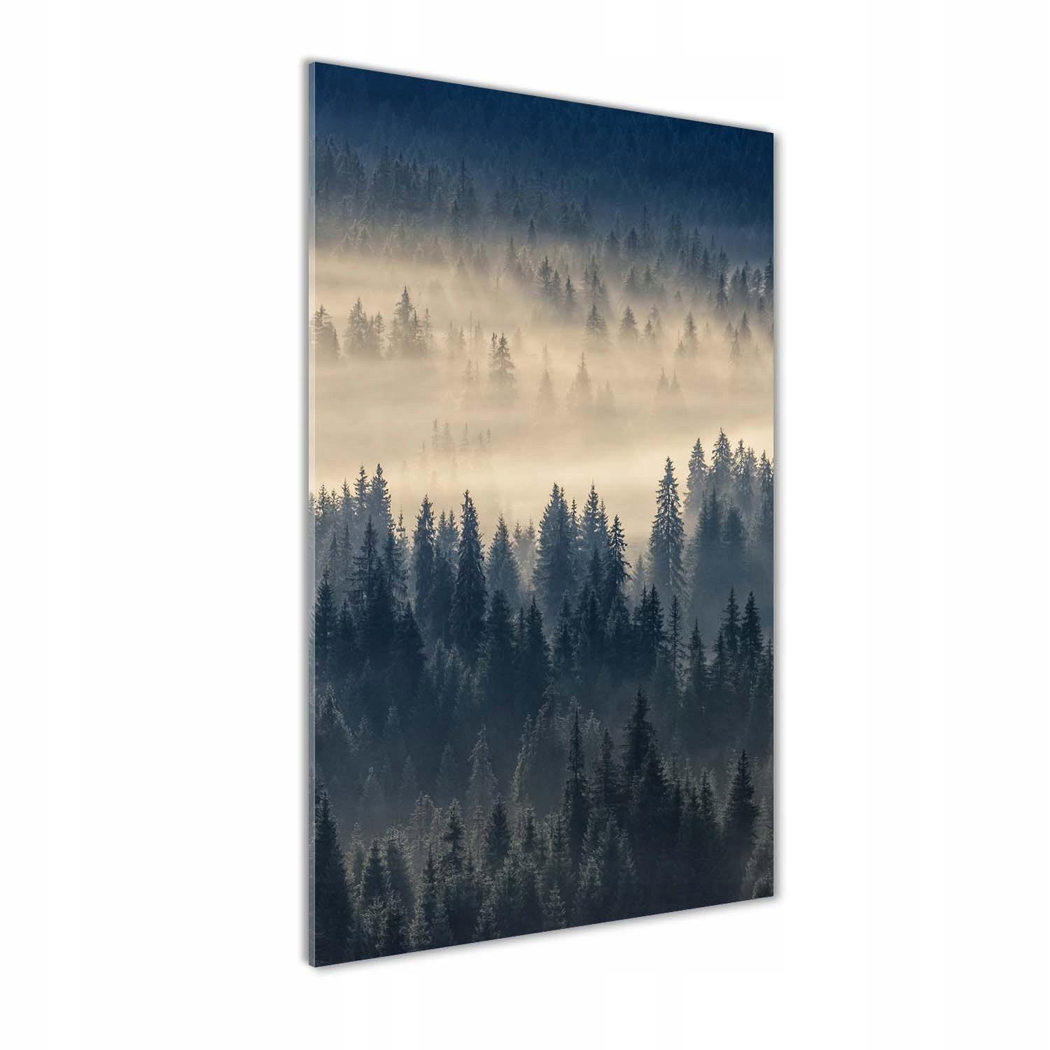 

Foto obraz akryl do salonu Mgła nad lasem 70x140cm