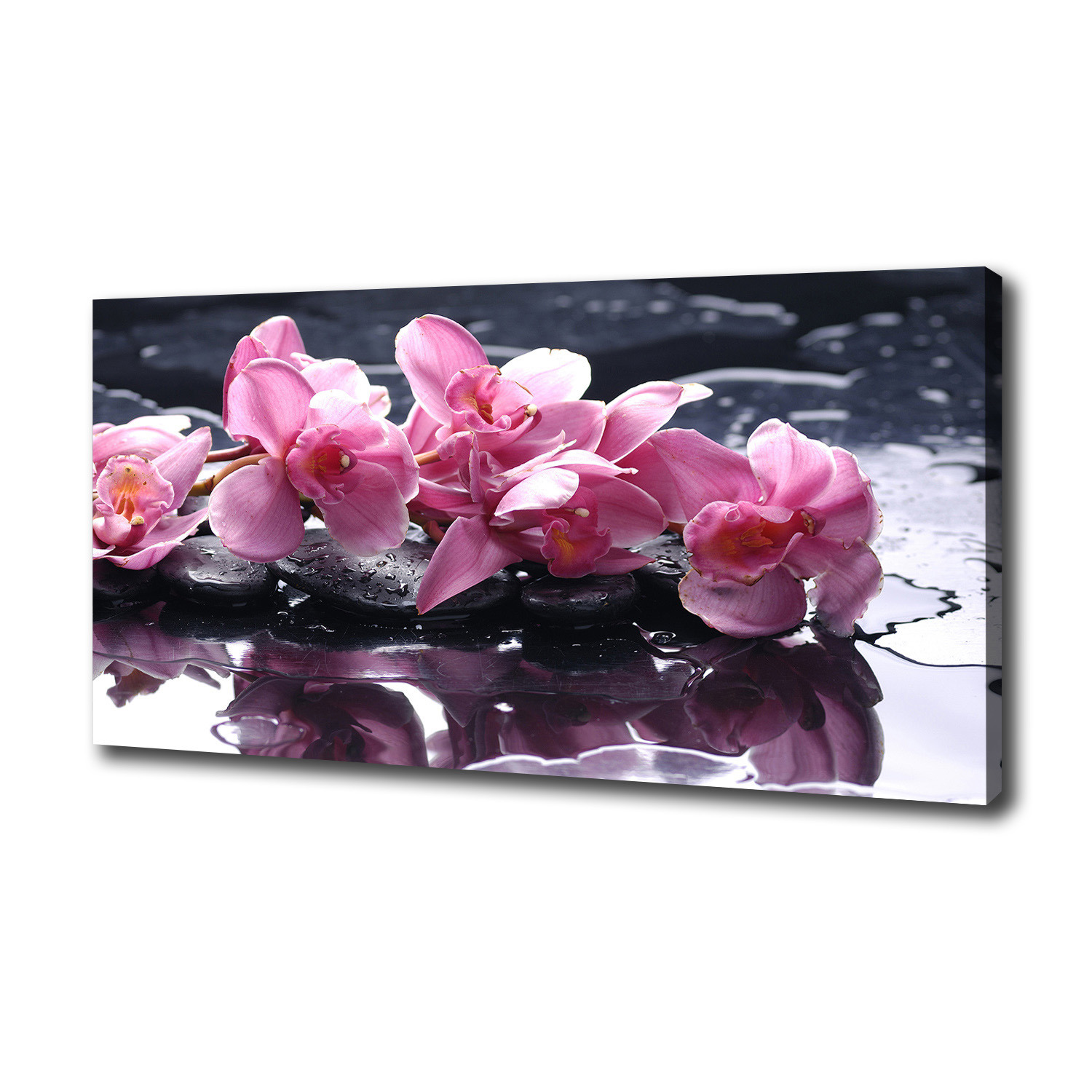 

Foto obraz na płótnie Różowa orchidea 100x50 cm