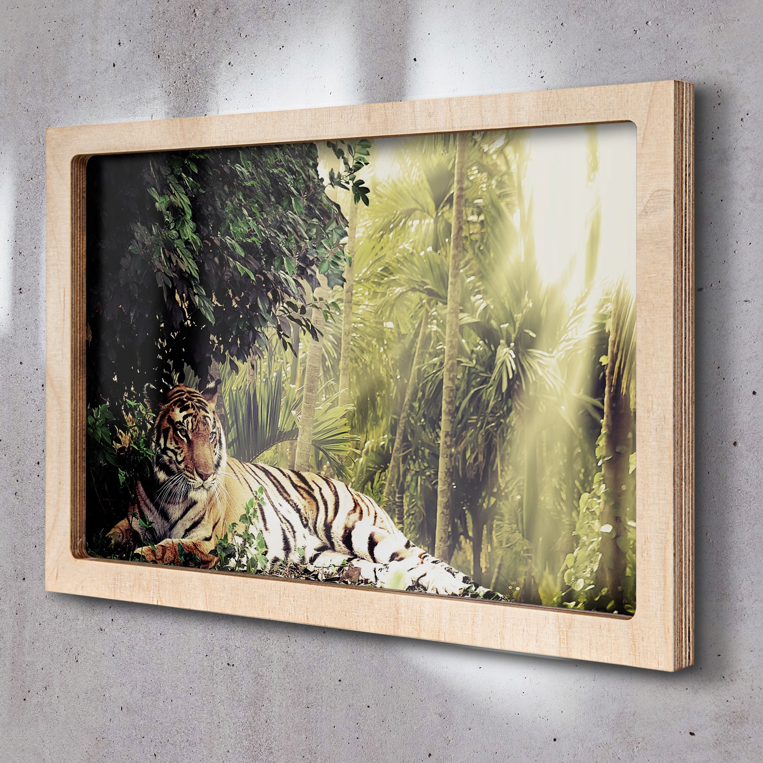 Fotoobraz na zeď Tygr džungle slunce 65x45 cm