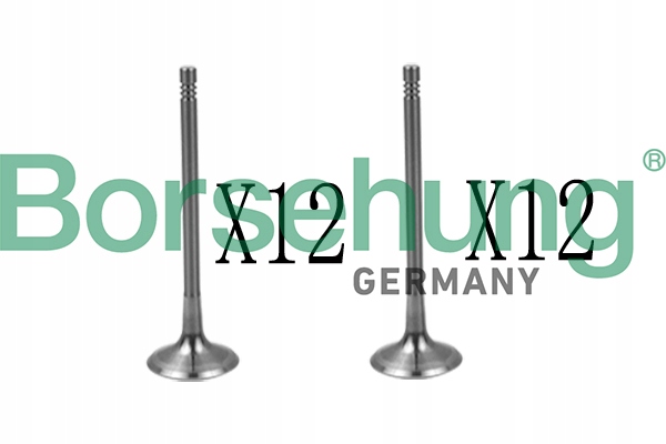 B18639 - ВИХЛОПНІ ВСМОКТУВАЛЬНІ КЛАПАНИ KPL BORSEHUNG