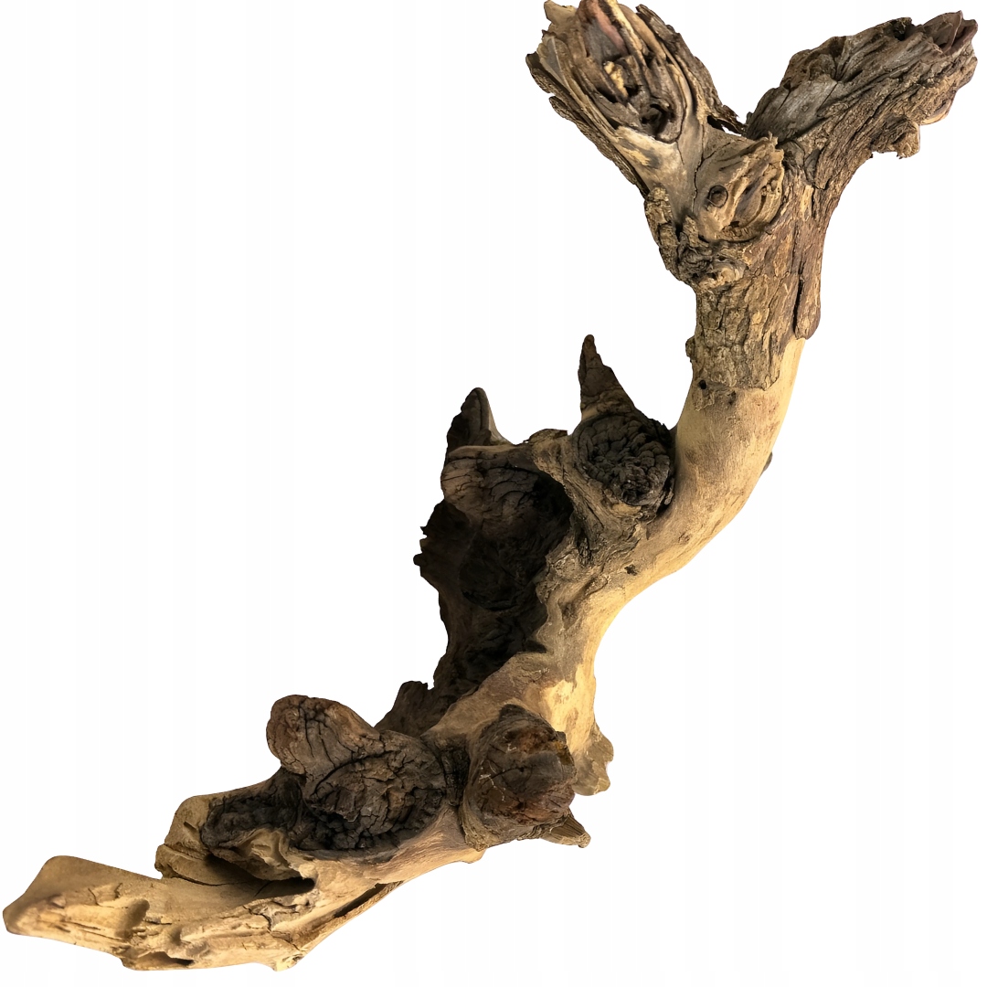 Levně Kořen Mopani pro akvárium Přírodní dekorace Terárium Ozdoba 31-40 cm