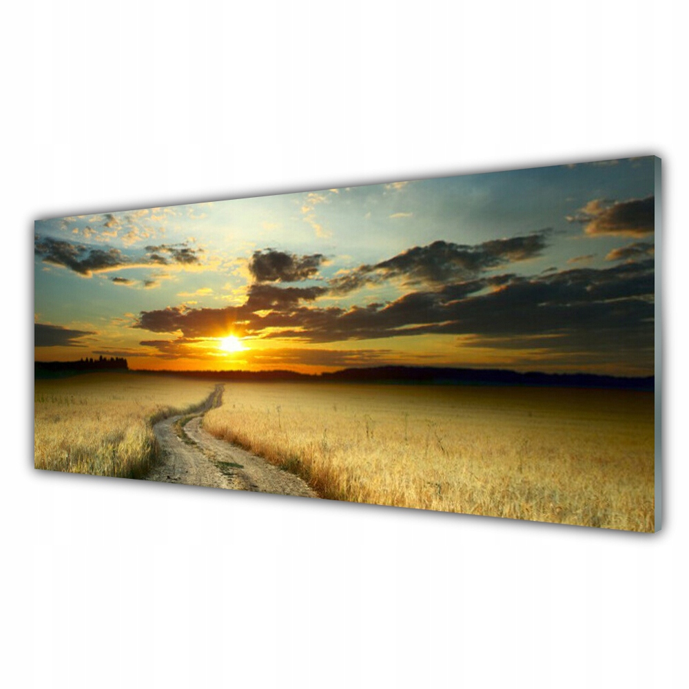 

Fotoobraz z grafiką 125x50 Dróżka Pole Krajobraz