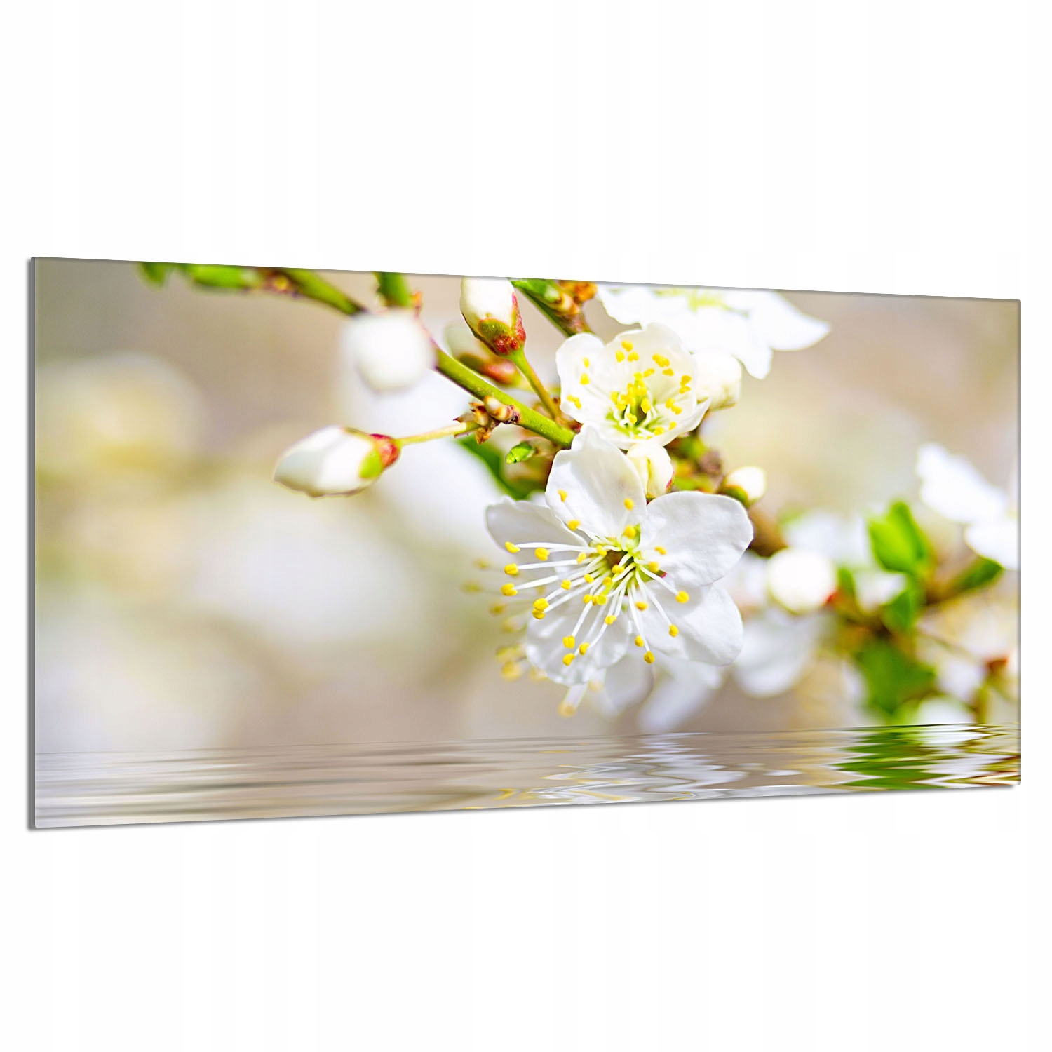 Skleněná ochranná deska na sporák 90x52 Slíva Do Kuchyně