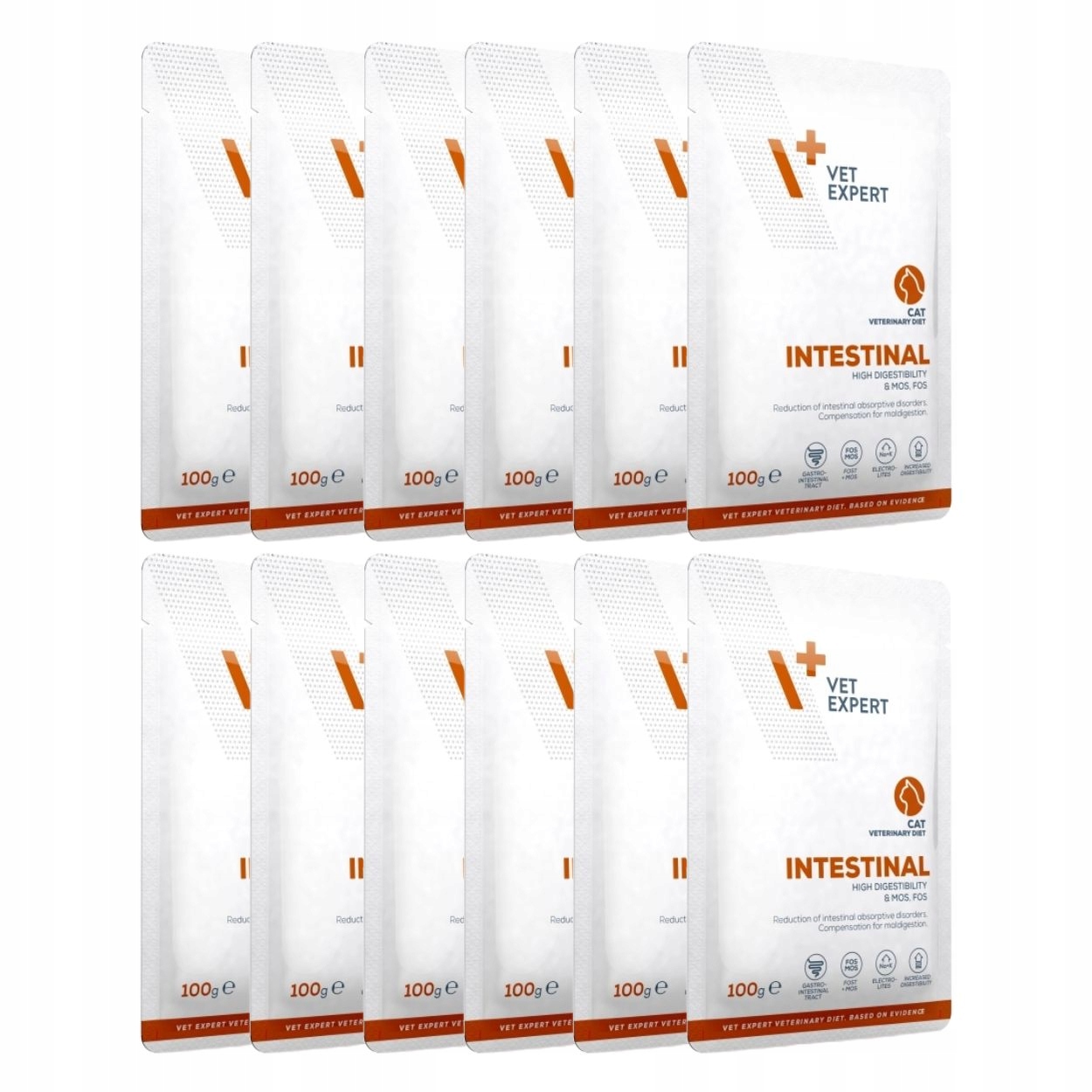 Levně 4T VetExpert Cat Intestinal 12 x 100 g sáčky na střeva, slinivka pro kočky