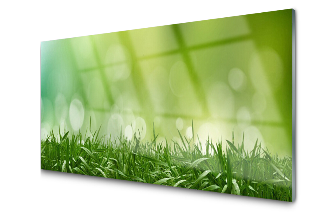 Sklenený panel Plytká tráva Rastlina 120x60 Lepidlo
