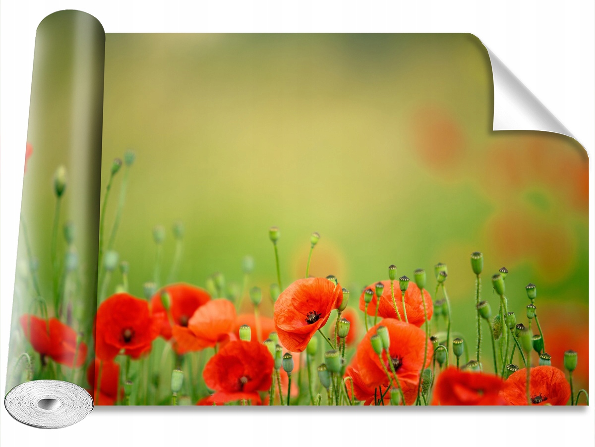 

Tapeta Samoprzylepna Kwiaty maku - 152x104