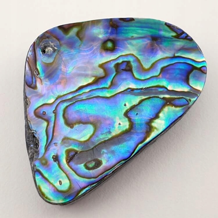 Paua Abalone kaboszon ~3,7x2,7 cm nr 63