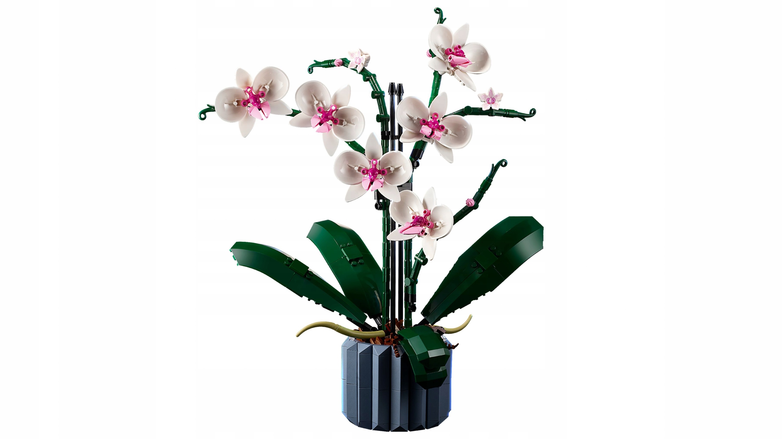 LEGO Icons Orchidea 10311 Wiek dziecka 18 lat +